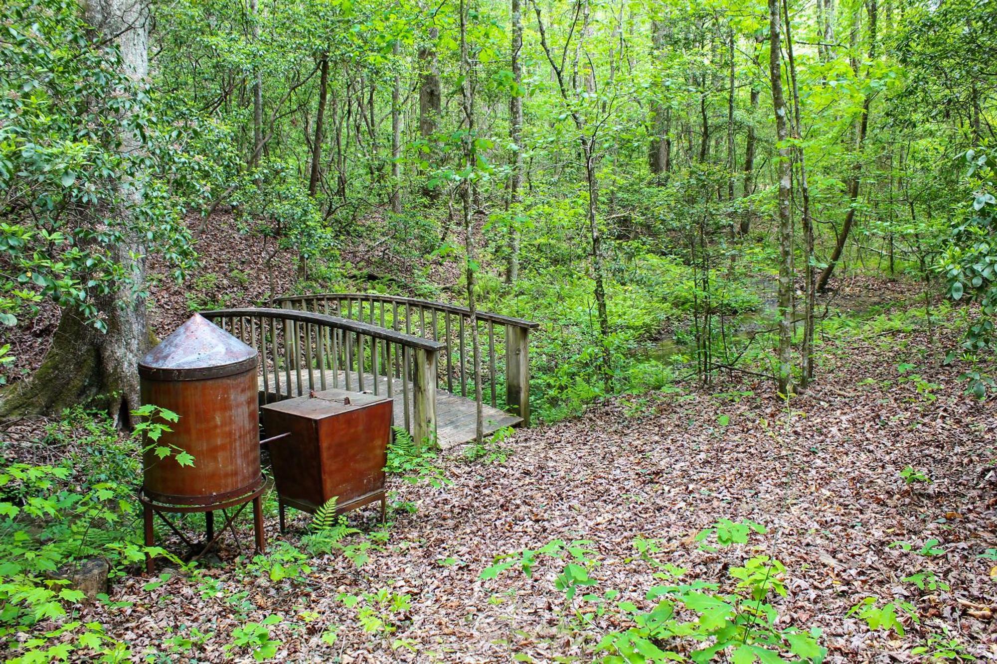 Sautee Nacoochee Mtn Paradise With Spacious Deck! Экстерьер фото